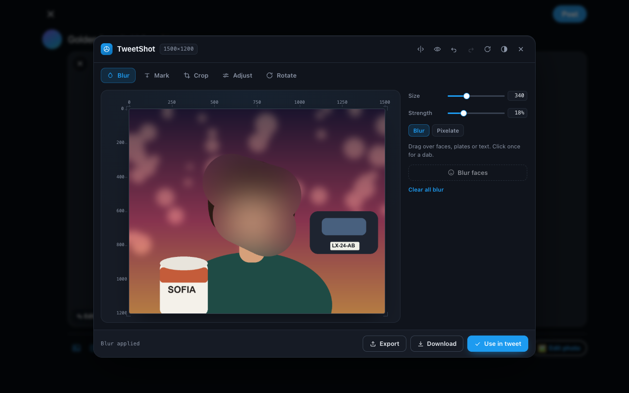 The editor open over the composer with a face blurred